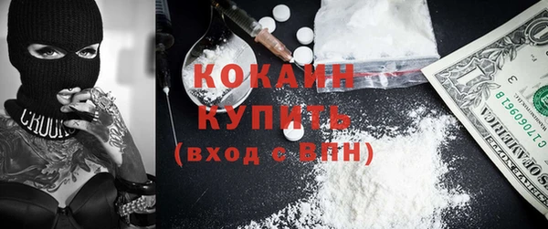 сатива Кукмор